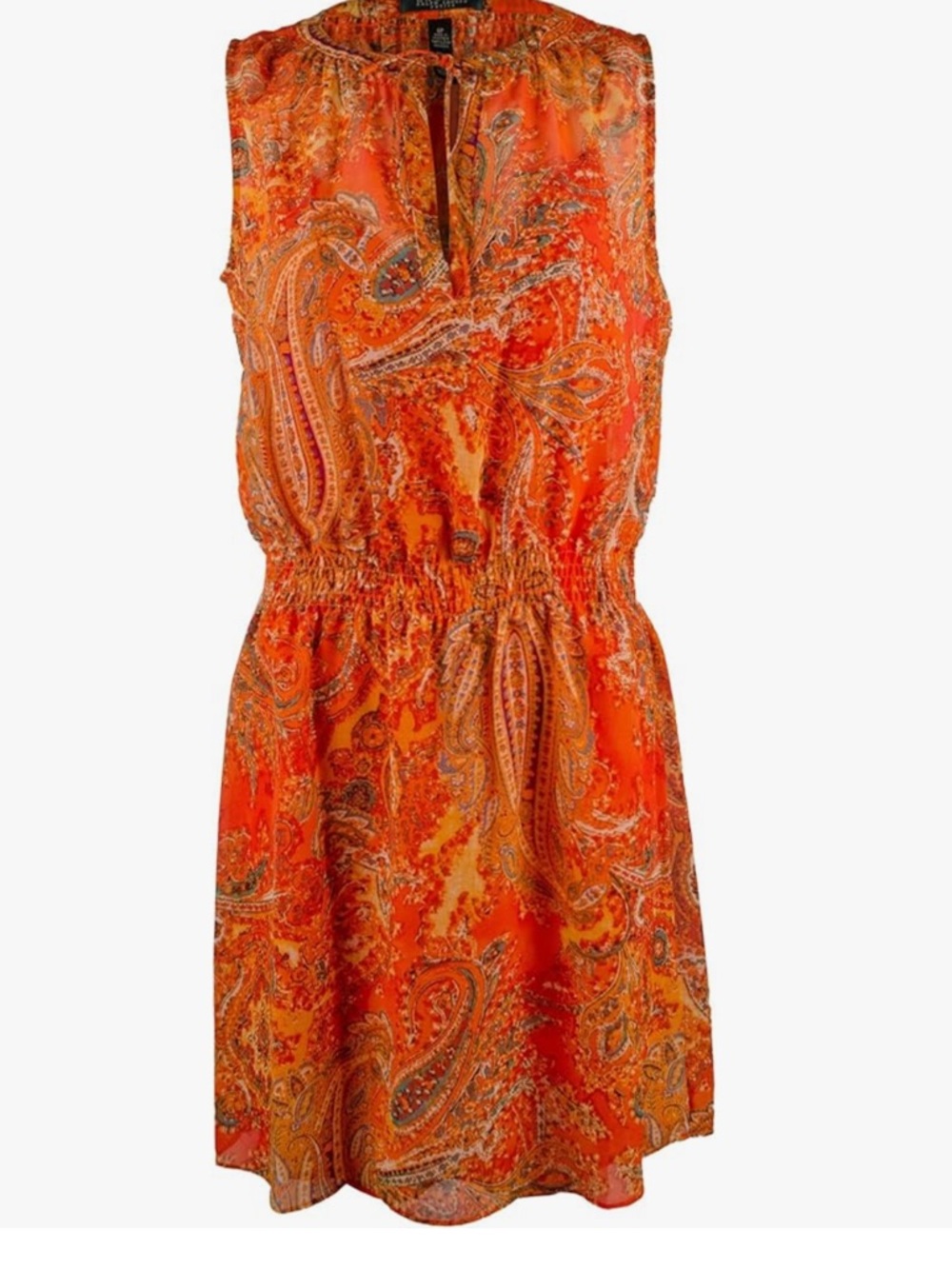 NWOT Lauren Ralph LaurenChiffon Smocked dress size 6
